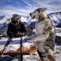 Алексей Невский