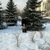 Фото пользователя Ксения