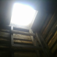 Петр Дмитриев | 