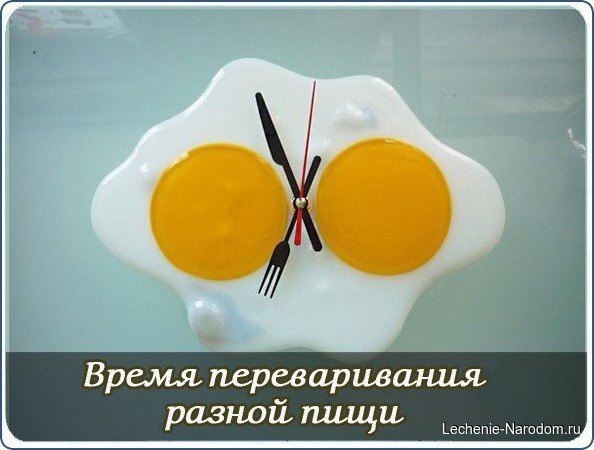 Время переваривания пищи