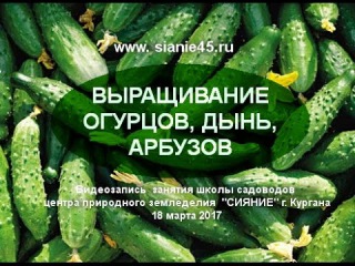 Выращивание огурцов, дынь, арбузов (01:17:42) Выращивание огурцов, дынь, арбузов (01:17:42)