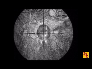 Pest Control with Air Rifles - Rat Shooting - Baracuda Hunter Extreme .177