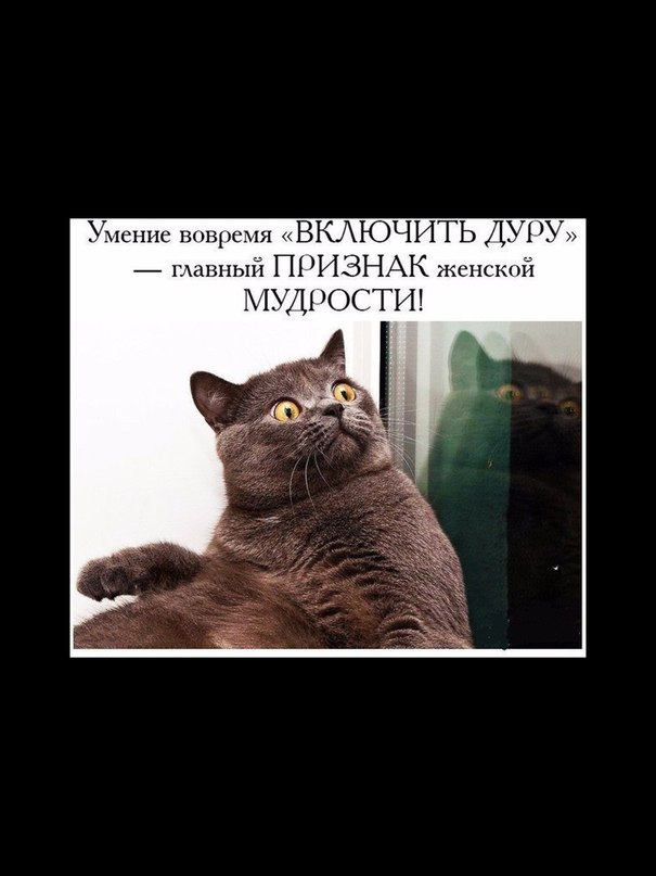 devushki-ves-kak-prikinutsya-durochkoy-pizdu