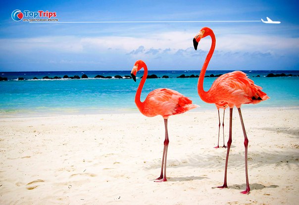 #Пляжи_мира@toptrips 