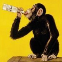 Drunken Monkey