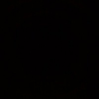 Андрей Кайданович