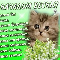 Екатерина Музыка | 
