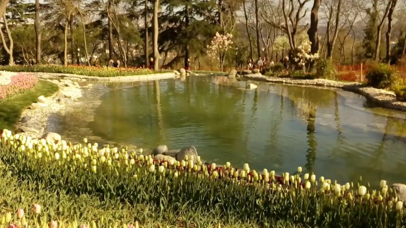 Emirgan korusu 03.04.2017 💐💐💐