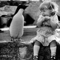 Наталья Прокопенко