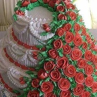 Татьяна Кузина | Домодедово