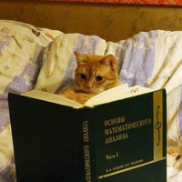 Владислав Зубко