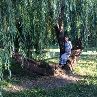 Арина Белицкая