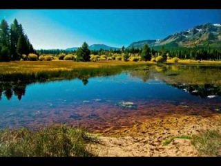 🎧 3 HOURS Best Relaxing Music | Indian Pan Flute Song | Background, Sleep, Study, Meditation