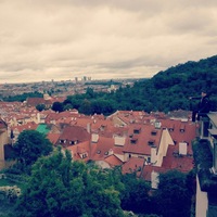 Айдар Латыйпов  bal3am