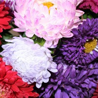 Юлия Деркач | 