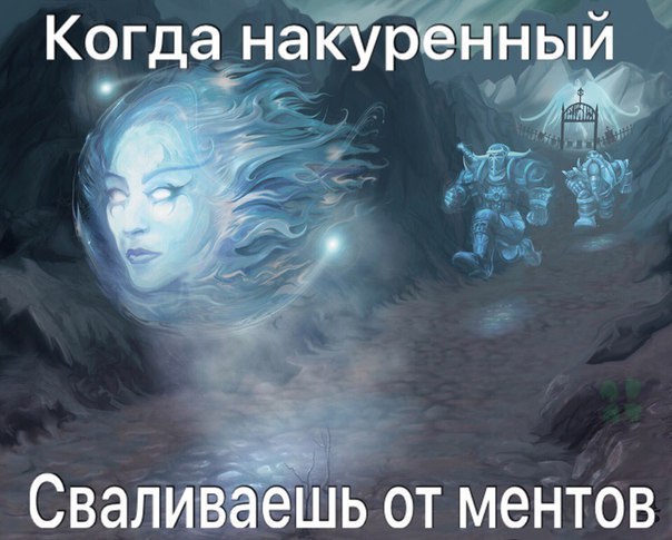 mJ6nUQ4J9GM.jpg