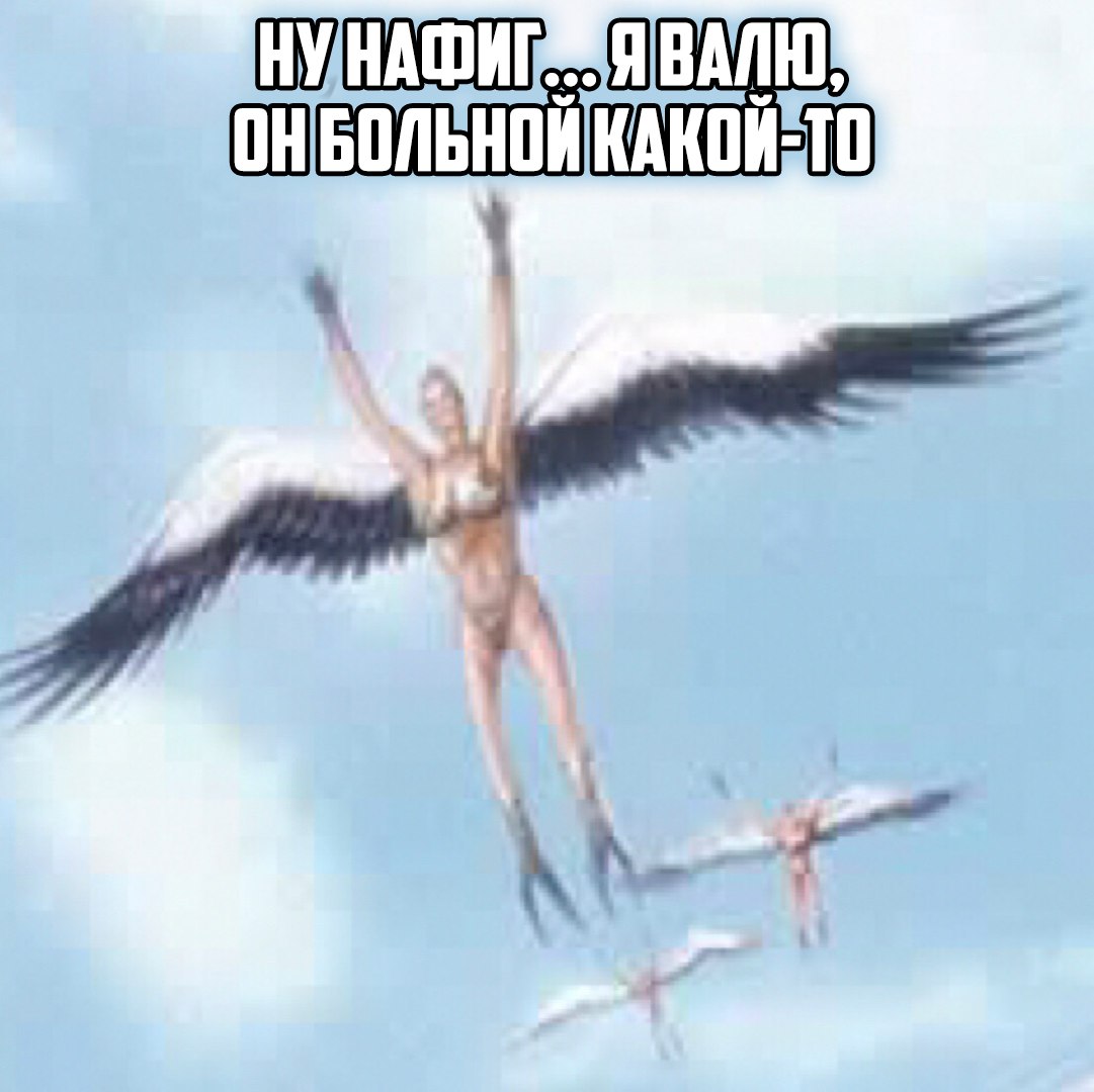 2FYOFZpwM0g.jpg