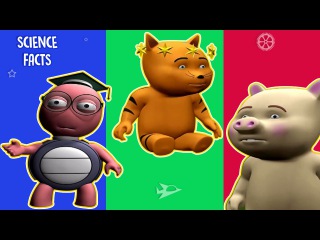 Interesting Facts About Human Body | Science Facts For kids