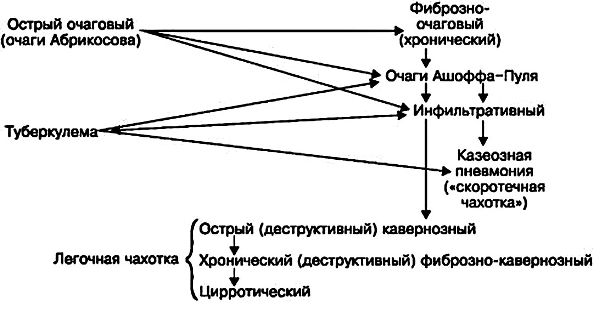 Вторичный, реинфекционный, туберкулез развивается в организме взрослого человека, перенесшего ранее первичную инфекцию, которая обеспечила ему относительный иммунитет, но не оградила от возможности повторного заболевания - послепервичного туберкулеза. Для него характерны: 1) избирательно легочная локализация процесса; 2) контактное и интраканаликулярное (бронхиальное дерево, желудочно-кишечный тракт) распространение; 3) смена клинико-морфологических форм, которые являются фазами туберкулезного процесса в легких. 