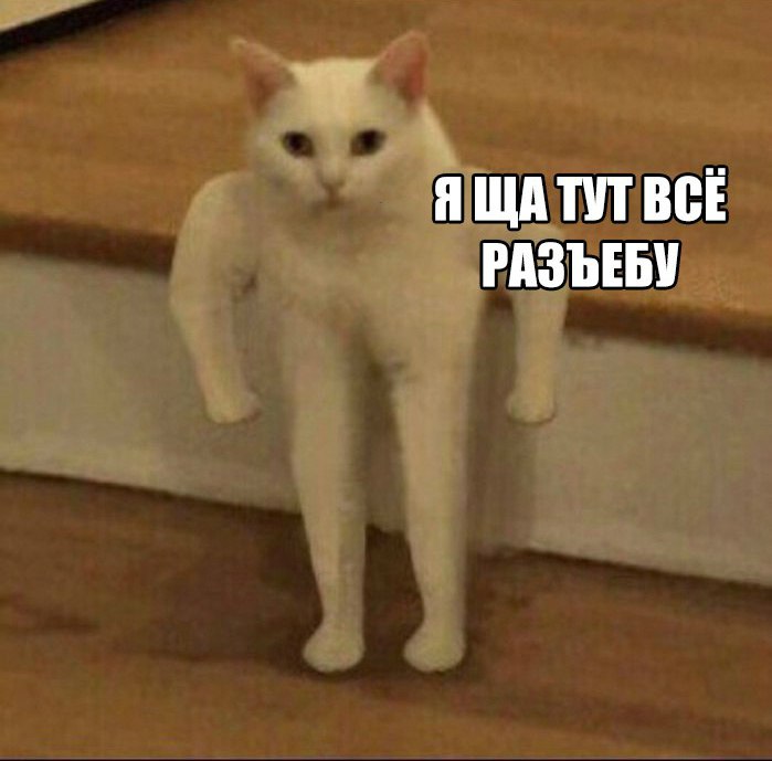 rZ7QIBbdOg4.jpg