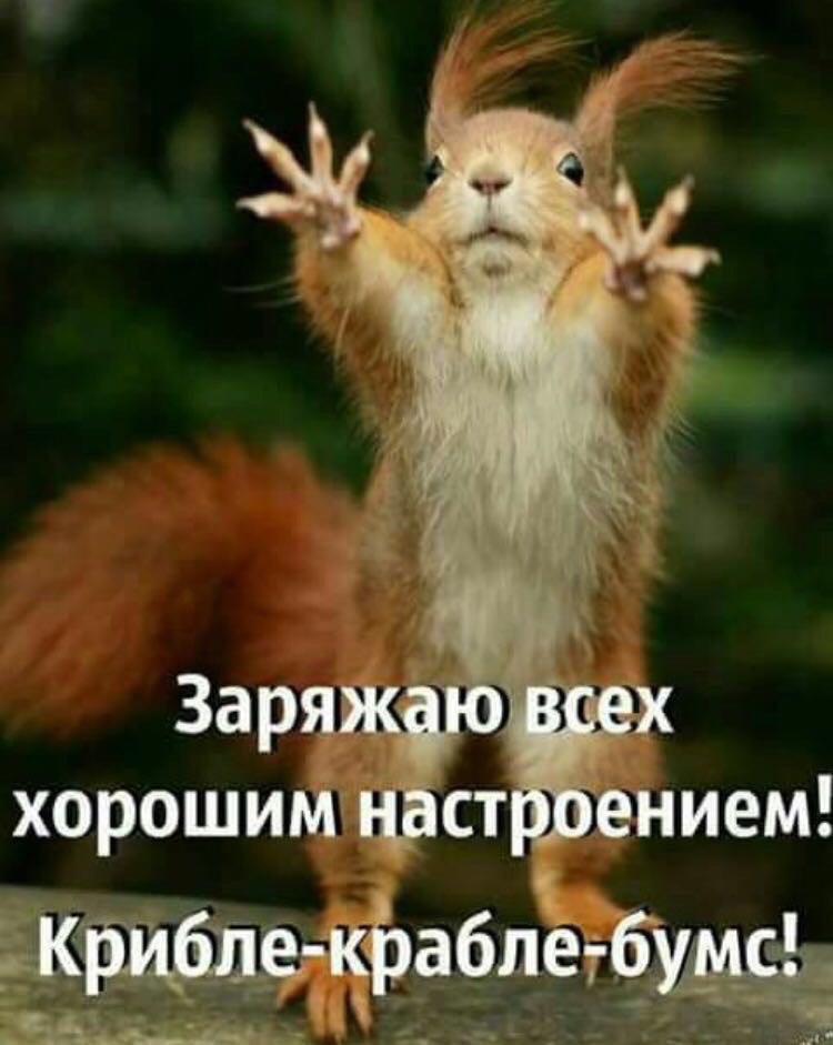https://pp.userapi.com/c837734/v837734487/3620c/EsKwI4LetJY.jpg