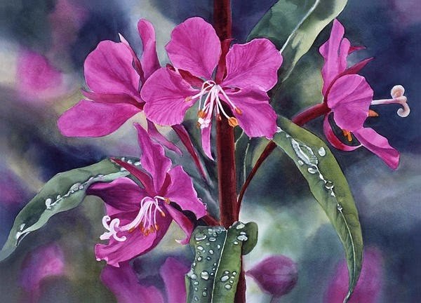 Sharon Freeman