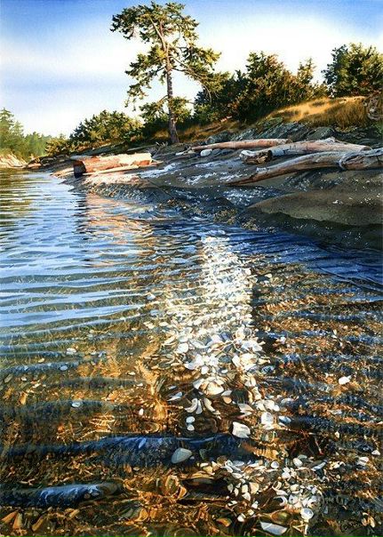 Художник Carol Evans