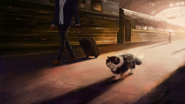 Кот-путешественник, или долгая дорога домой 