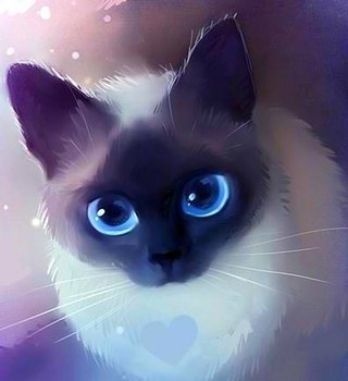 картинки котики на аву онлайн картинки котики на аву