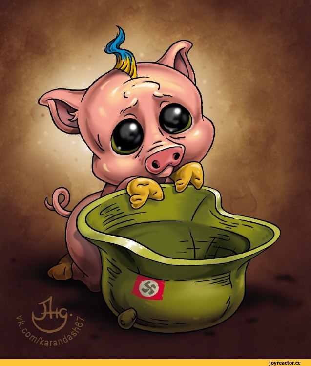 Хохлы свиньи картинки