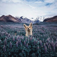 Наталья Петрукович