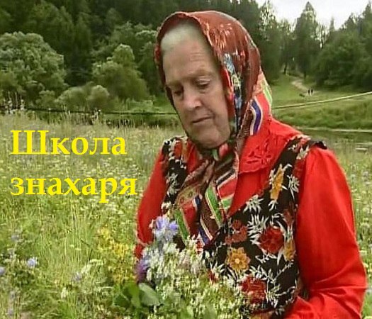  ТРАВЫ 