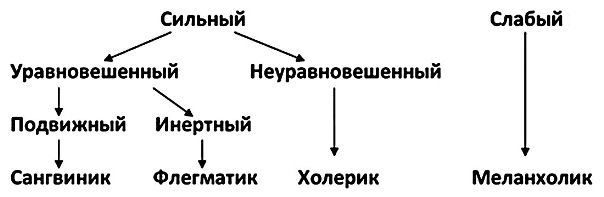 Учение павлова о типах нервных систем 