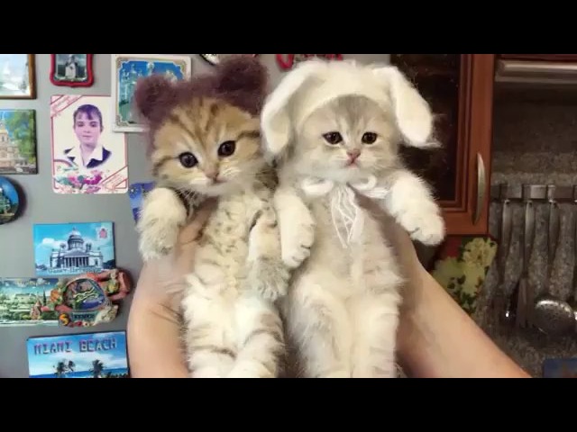 зяя и мища❤