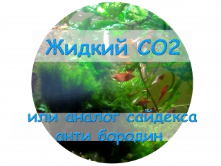 Жидкий CO2 или аналог сайдекса анти бородин