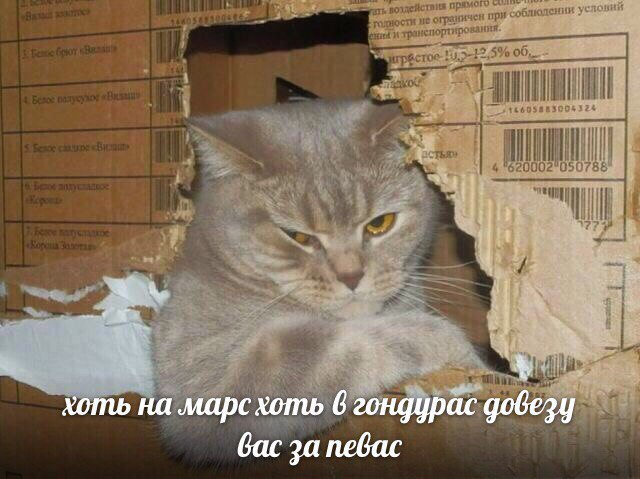 RHNLXM2KPqE.jpg