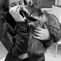 Лера Жукова