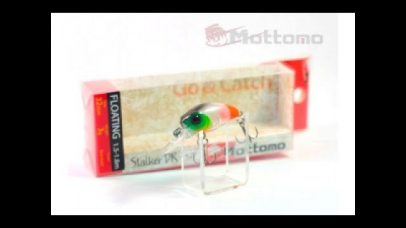 Mottomo Stalker DR 32 F