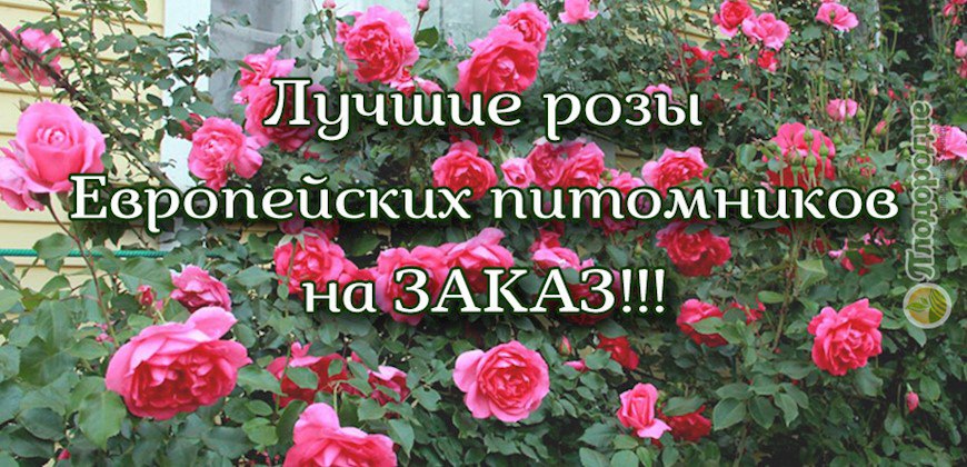 Плодородие 76 Интернет Магазин Ярославль