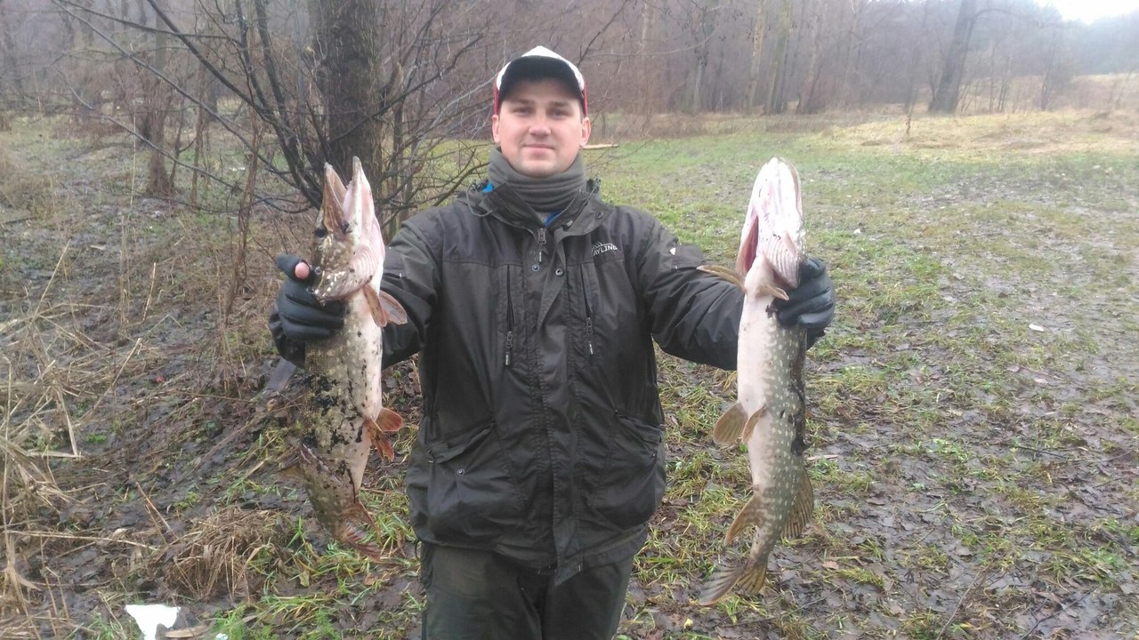 https://pp.userapi.com/c840120/v840120322/53344/yCSe1ZNuPhw.jpg