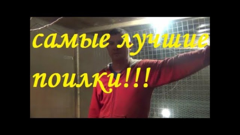 Лучшие поилки для кур