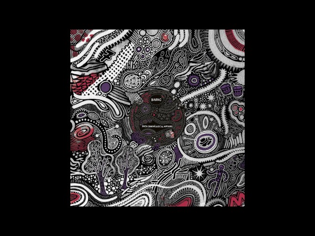 Barac - Asa E Omul