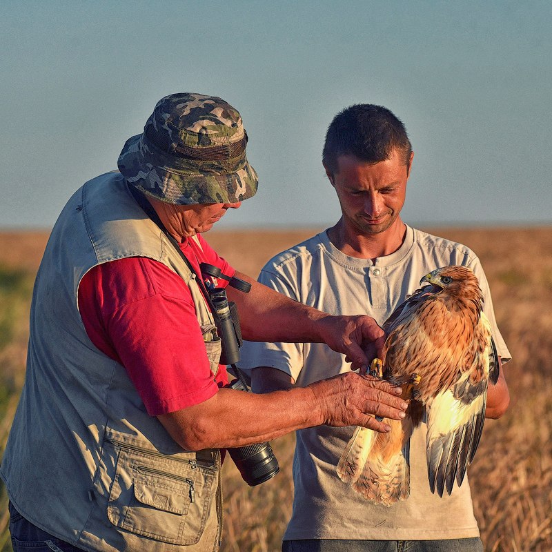 wildlife.crimea.ua