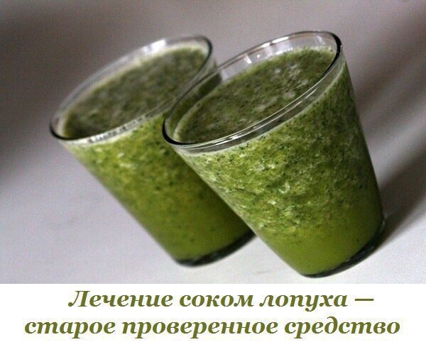 Лечение соком лопуха — старое проверенное средство 