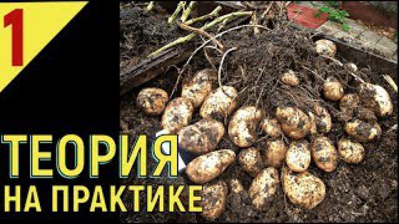 Фильмы онлайн смотреть бесплатно в хорошем качестве без