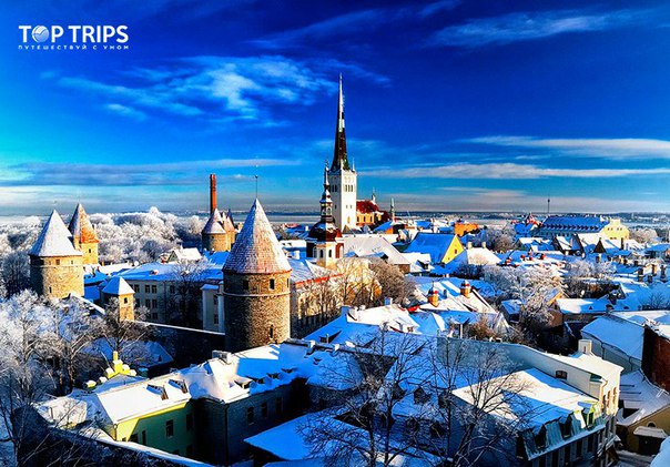 #Выгодное_предложение@toptrips
