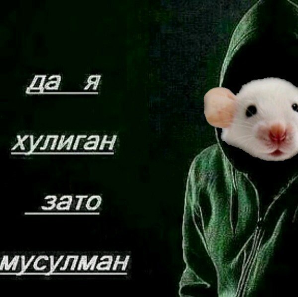 Я хулиган зато мусулман. Я хулиган таджик. Мамаша я не хулиган. Я хулиган зато мусулман. Я хулиган зато мусульман.