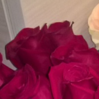 Светлана Скобелева | Иваново