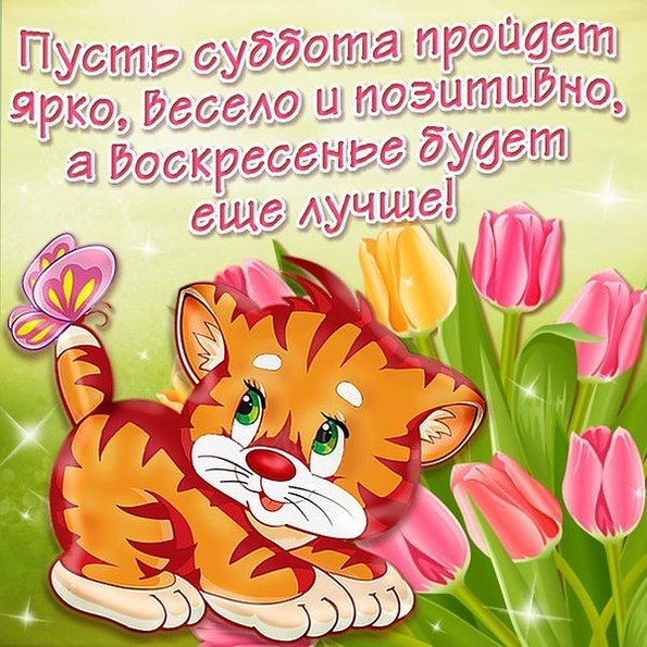 https://pp.userapi.com/c840124/v840124169/2eff0/zHBOhp9Vbuk.jpg