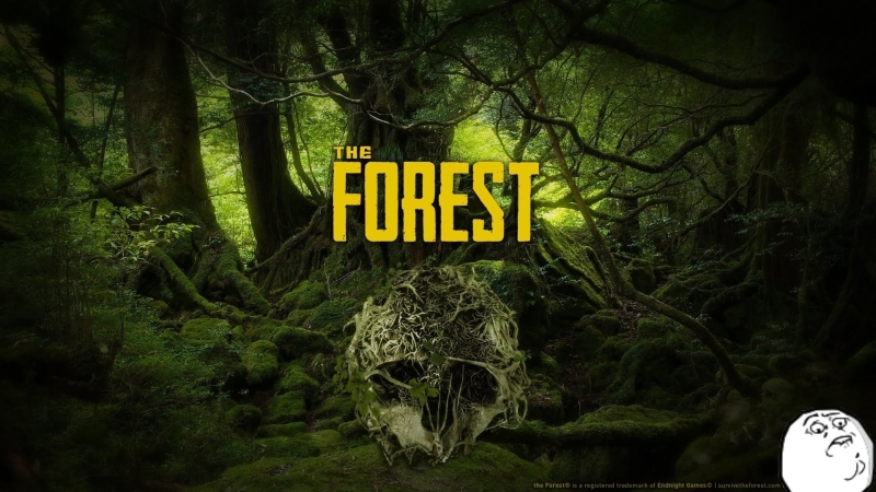 The Forest ОО НЕТ, МЫ ПАДАЕМ D